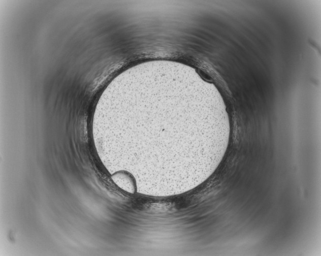 X0000099320251200805301221