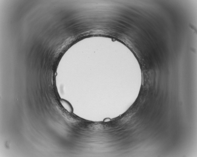 X0000099320253200805301221