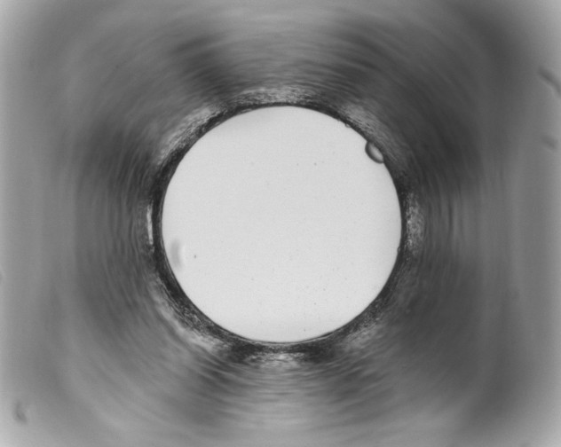 X0000099320254200805301221