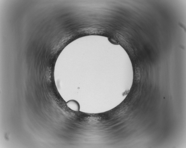 X0000099320255200805301221