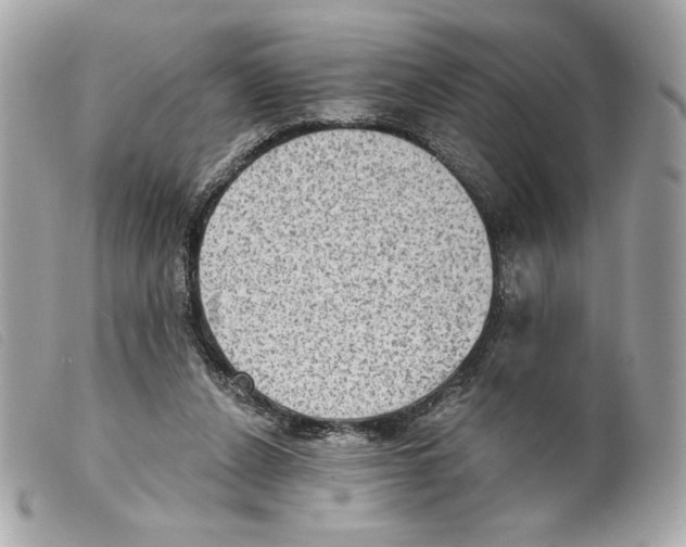 X0000099320256200805301222