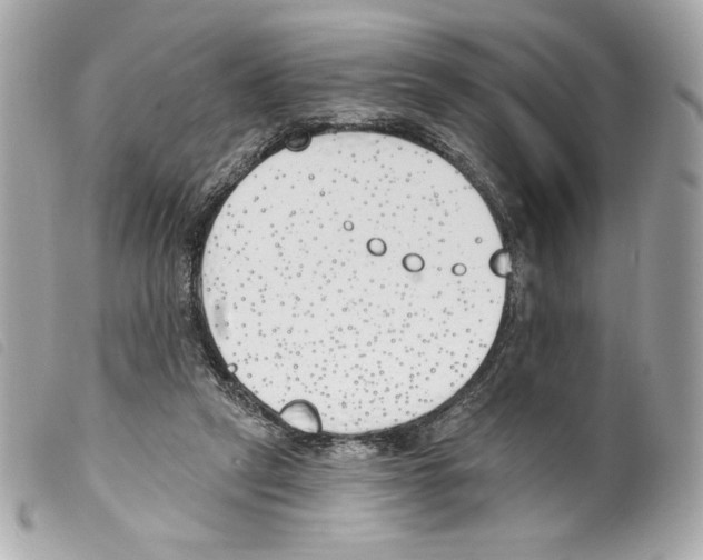 X0000099320257200805301222