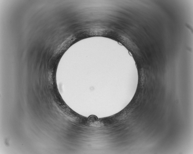X0000099320258200805301222