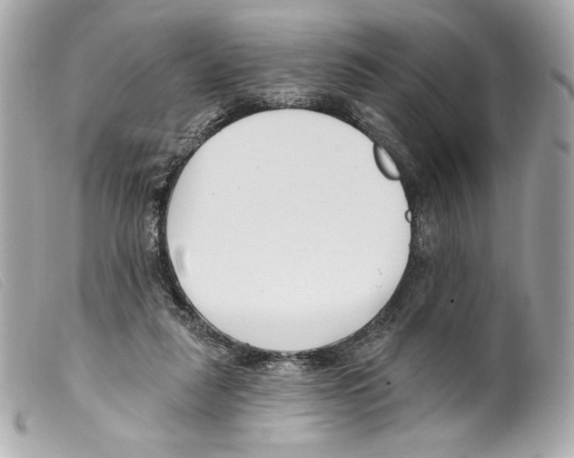 X0000099320259200805301222