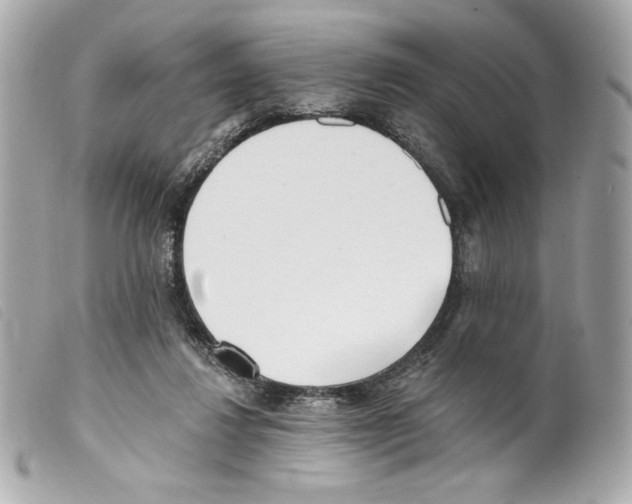 X0000099320260200805301222