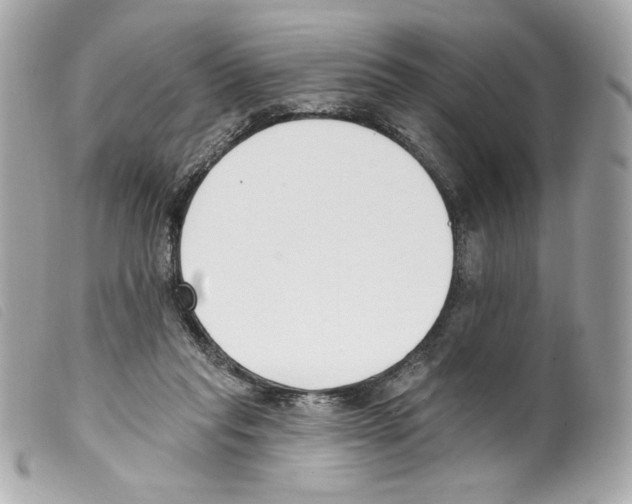 X0000099320261200805301222