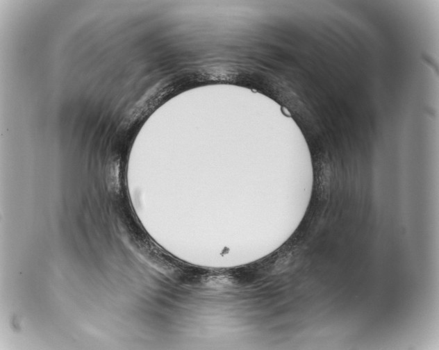 X0000099320262200805301222