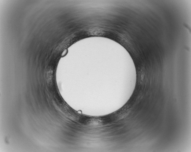 X0000099320263200805301222