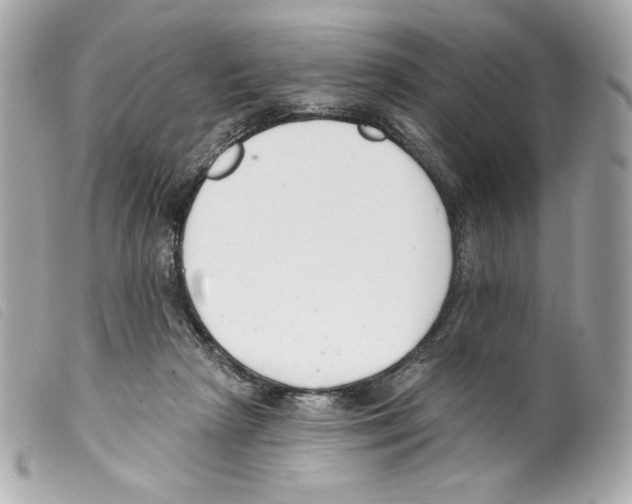 X0000099320265200805301222