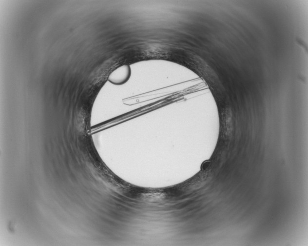 X0000099320266200805301222