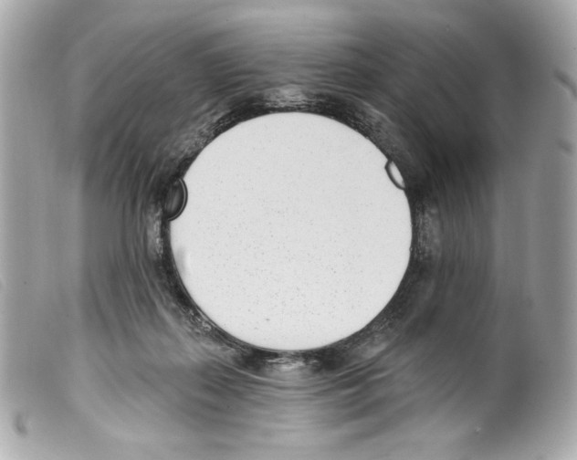 X0000099320267200805301222