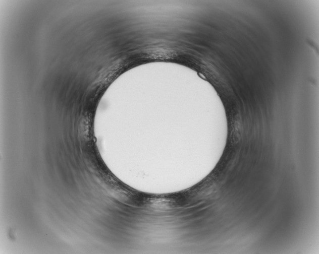 X0000099320268200805301222