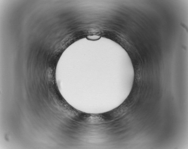 X0000099320270200805301222