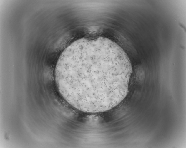 X0000099320272200805301222