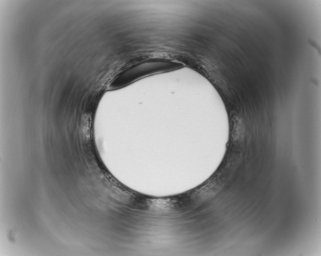 X0000099320273200805301222