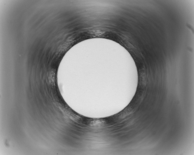 X0000099320274200805301222
