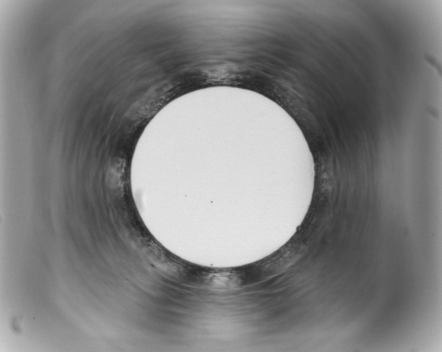 X0000099320275200805301222