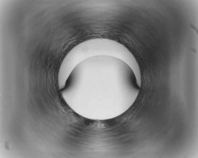 X0000099320276200805301222