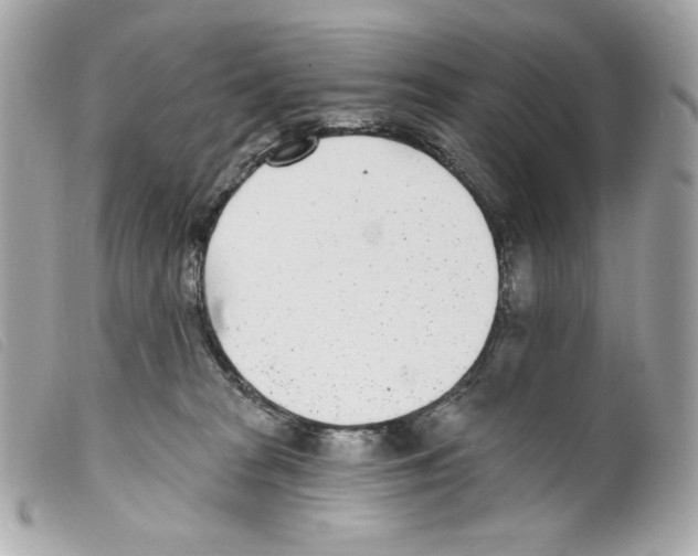 X0000099320277200805301222