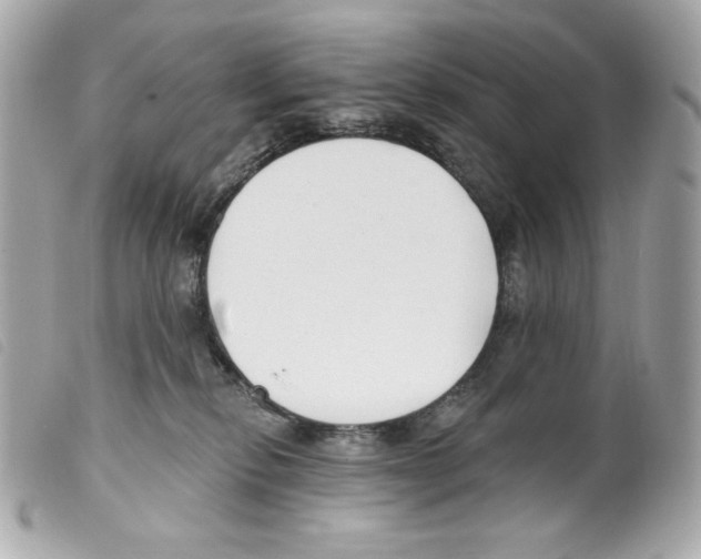 X0000099320278200805301222