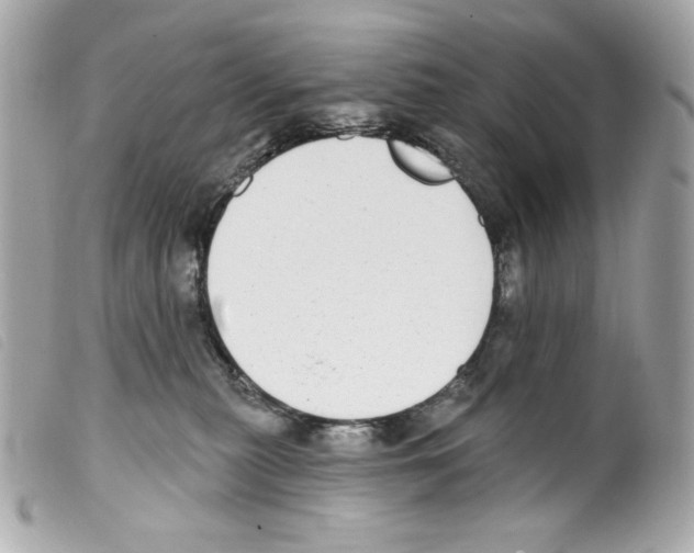 X0000099320279200805301222