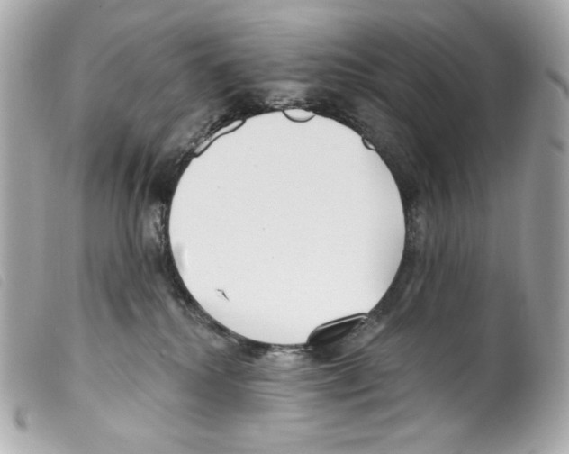 X0000099320280200805301222