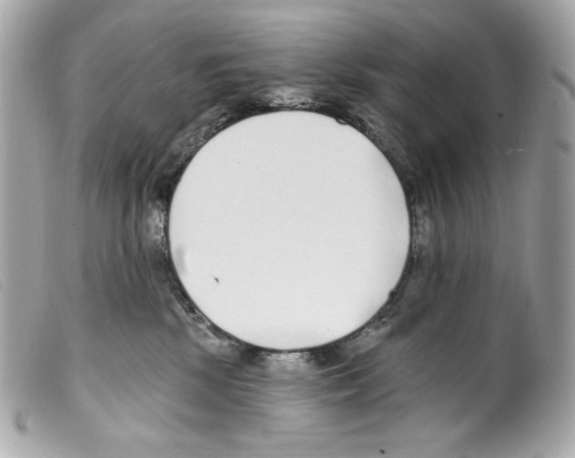 X0000099320281200805301222