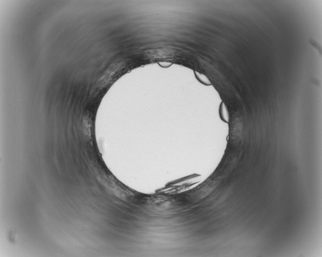 X0000099320282200805301222