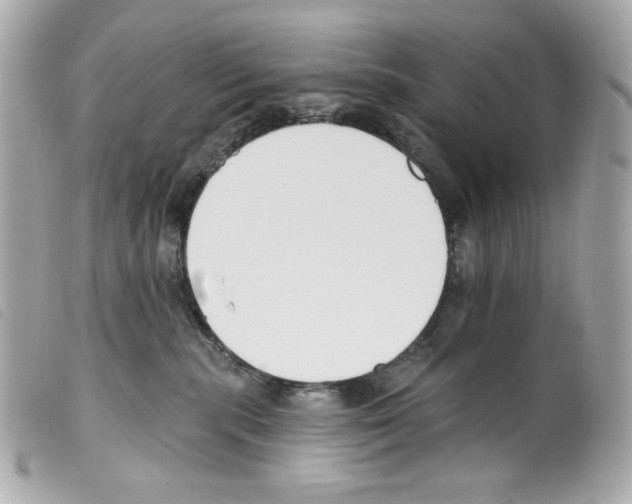 X0000099320283200805301222