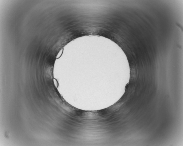 X0000099320286200805301222