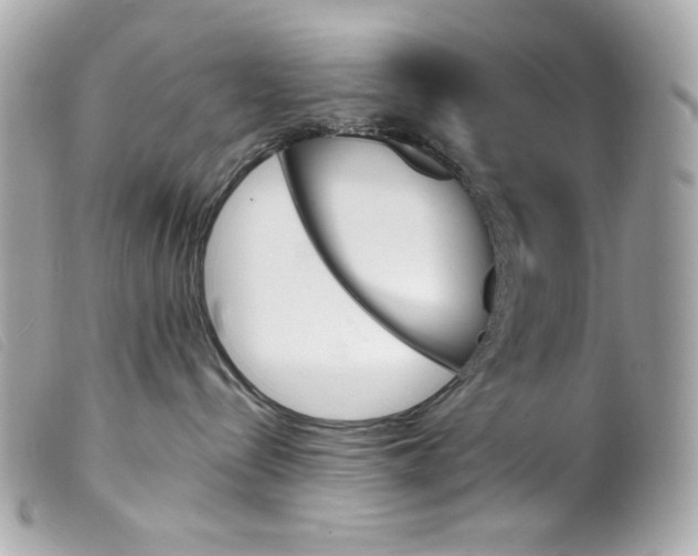 X0000099320288200805301222