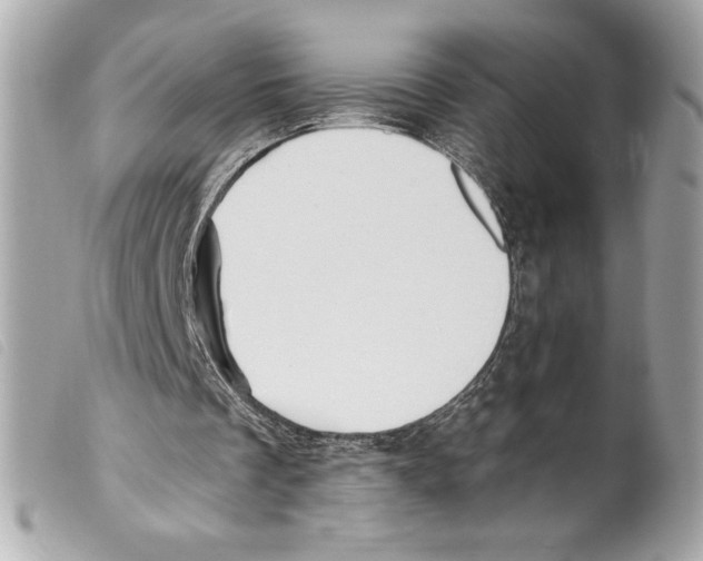 X0000099320289200805301221