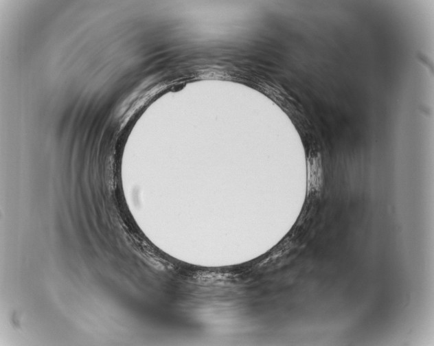 X0000099320291200805301221