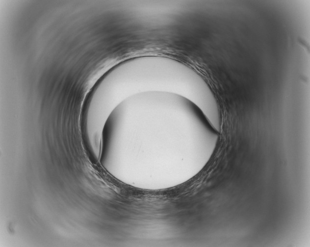 X0000099320292200805301221