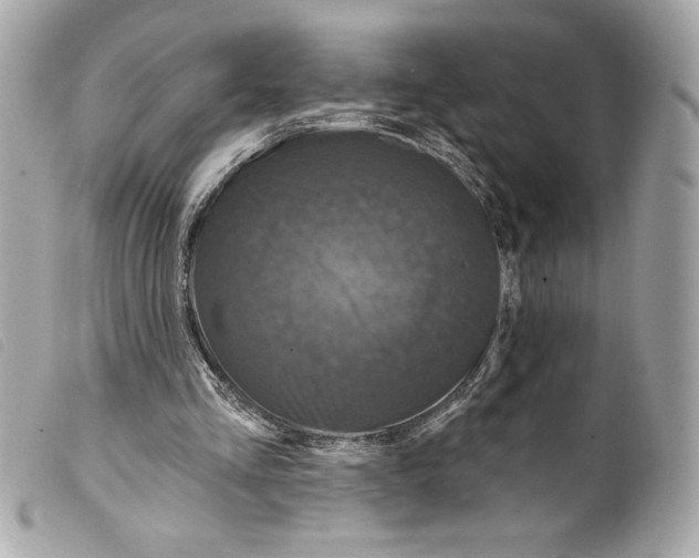 X0000099320293200805301221