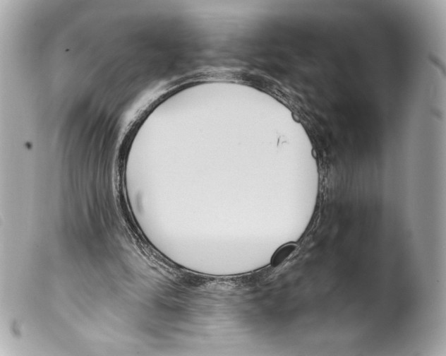 X0000099320294200805301221