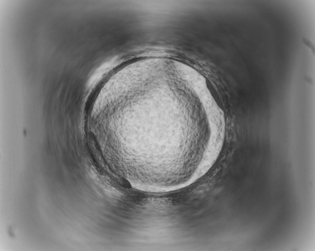 X0000099320296200805301221