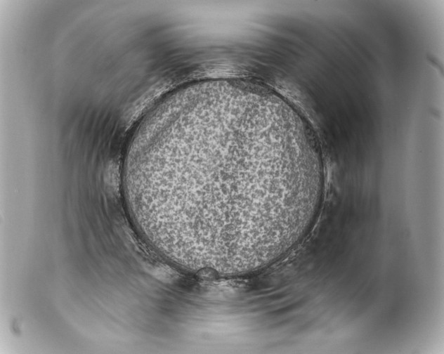 X0000099320297200805301221
