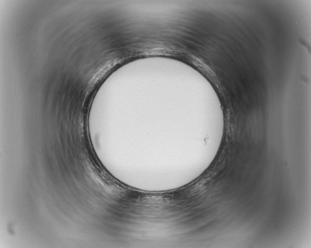 X0000099320298200805301221