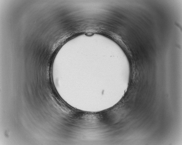 X0000099320299200805301221