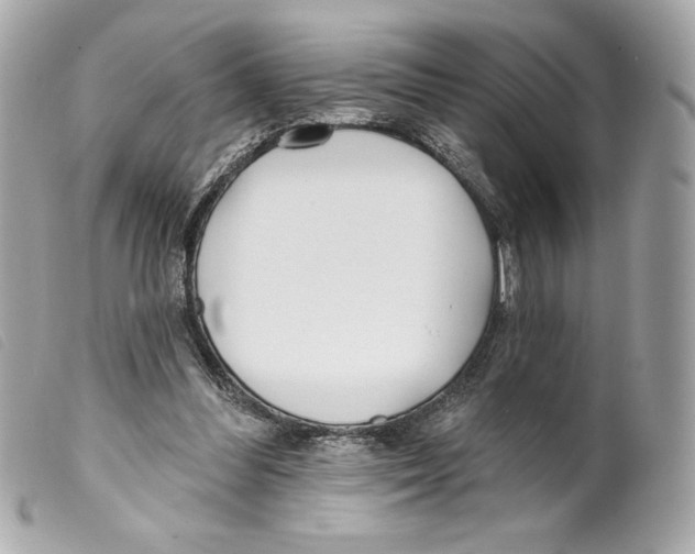 X0000099320300200805301221