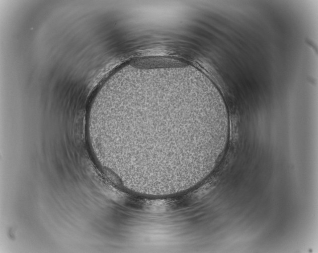 X0000099320301200805301221