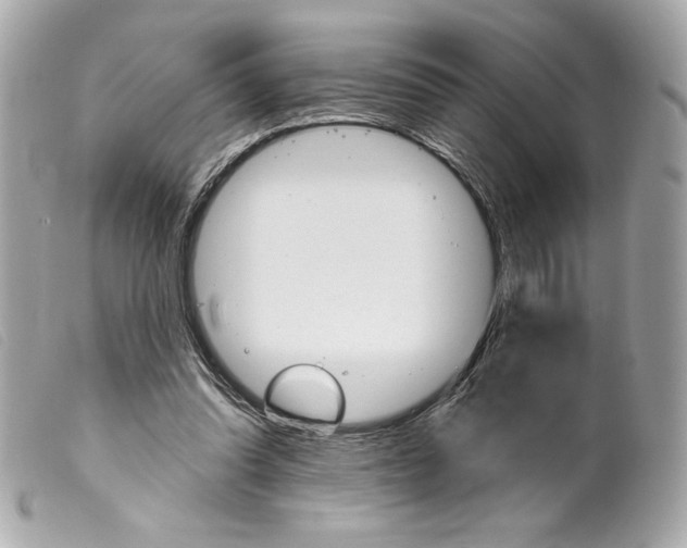 X0000099320302200805301221