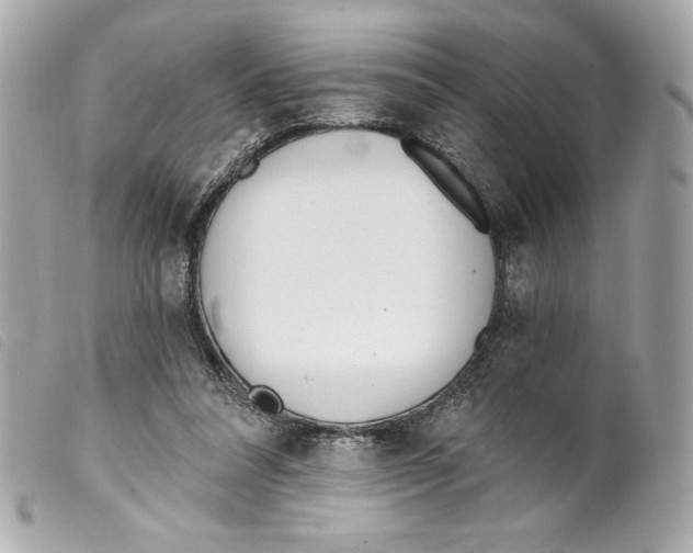 X0000099320304200805301221