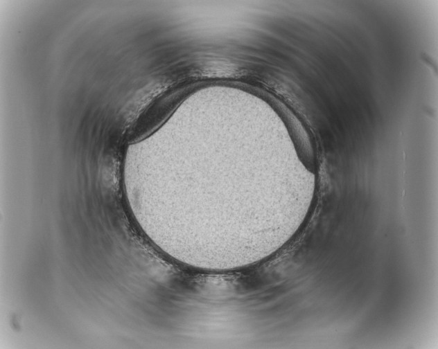 X0000099320305200805301221