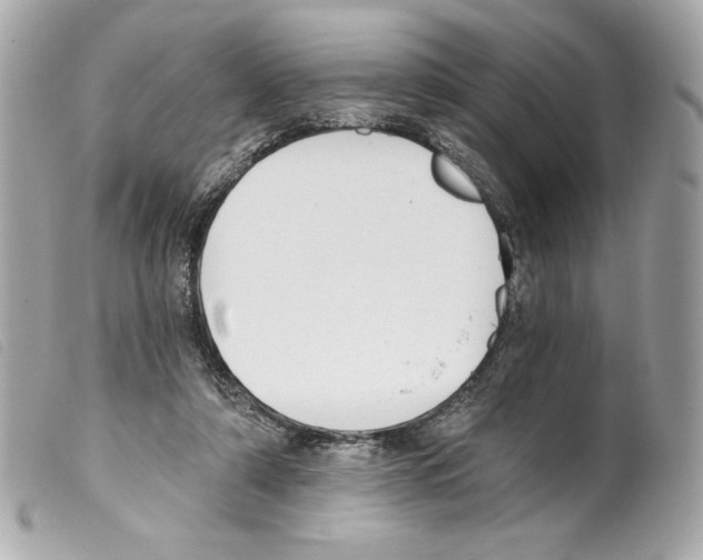 X0000099320306200805301221