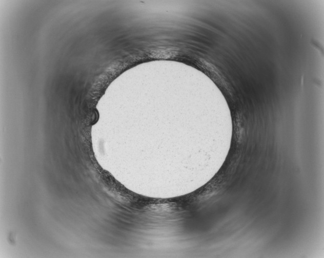 X0000099320307200805301221