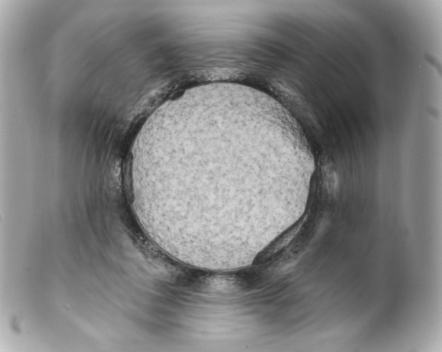X0000099320308200805301221