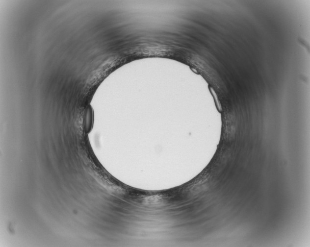 X0000099320309200805301221