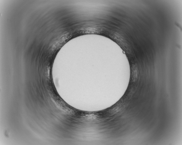 X0000099320310200805301221